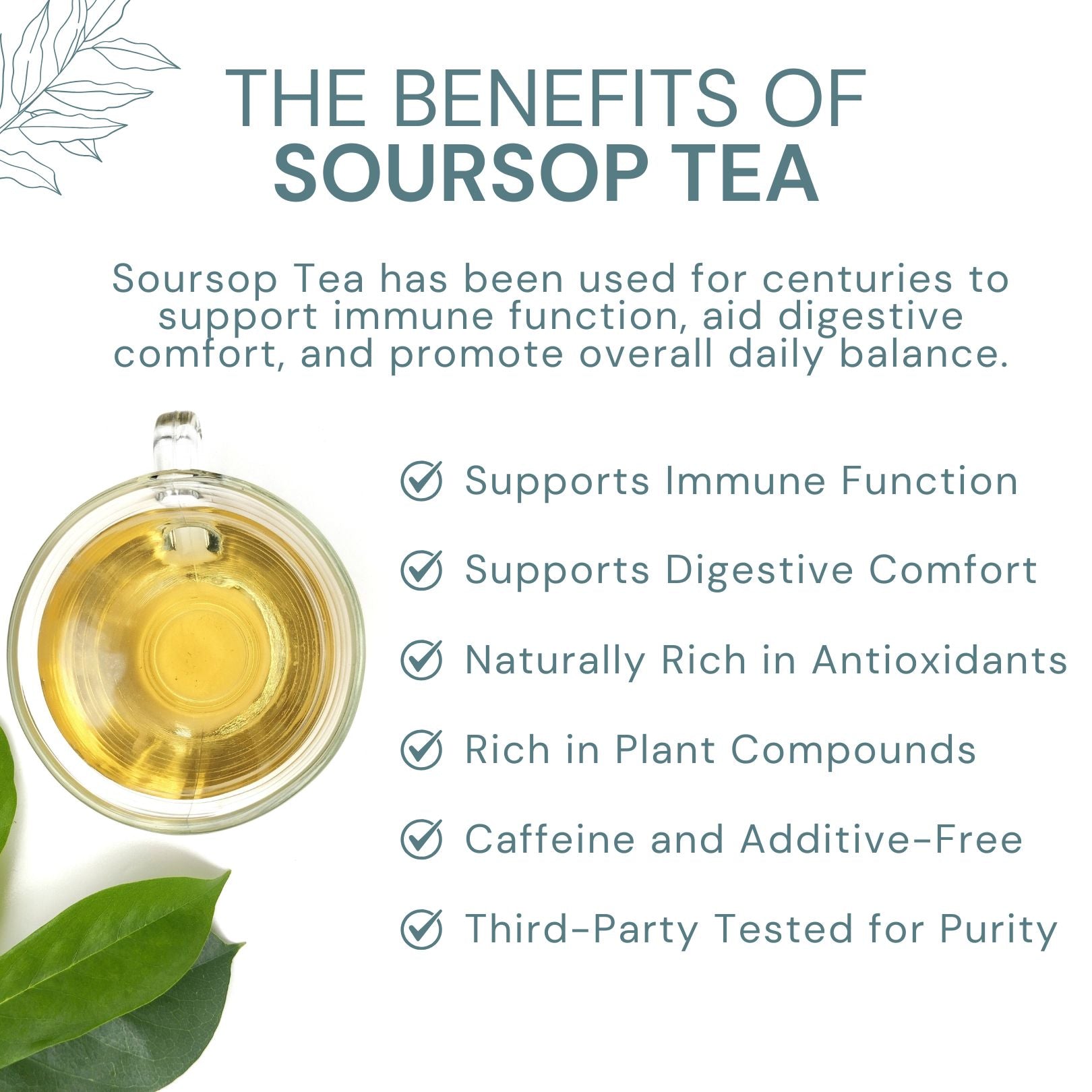 Soursop Tea - Natural Graviola Leaves - 6 oz