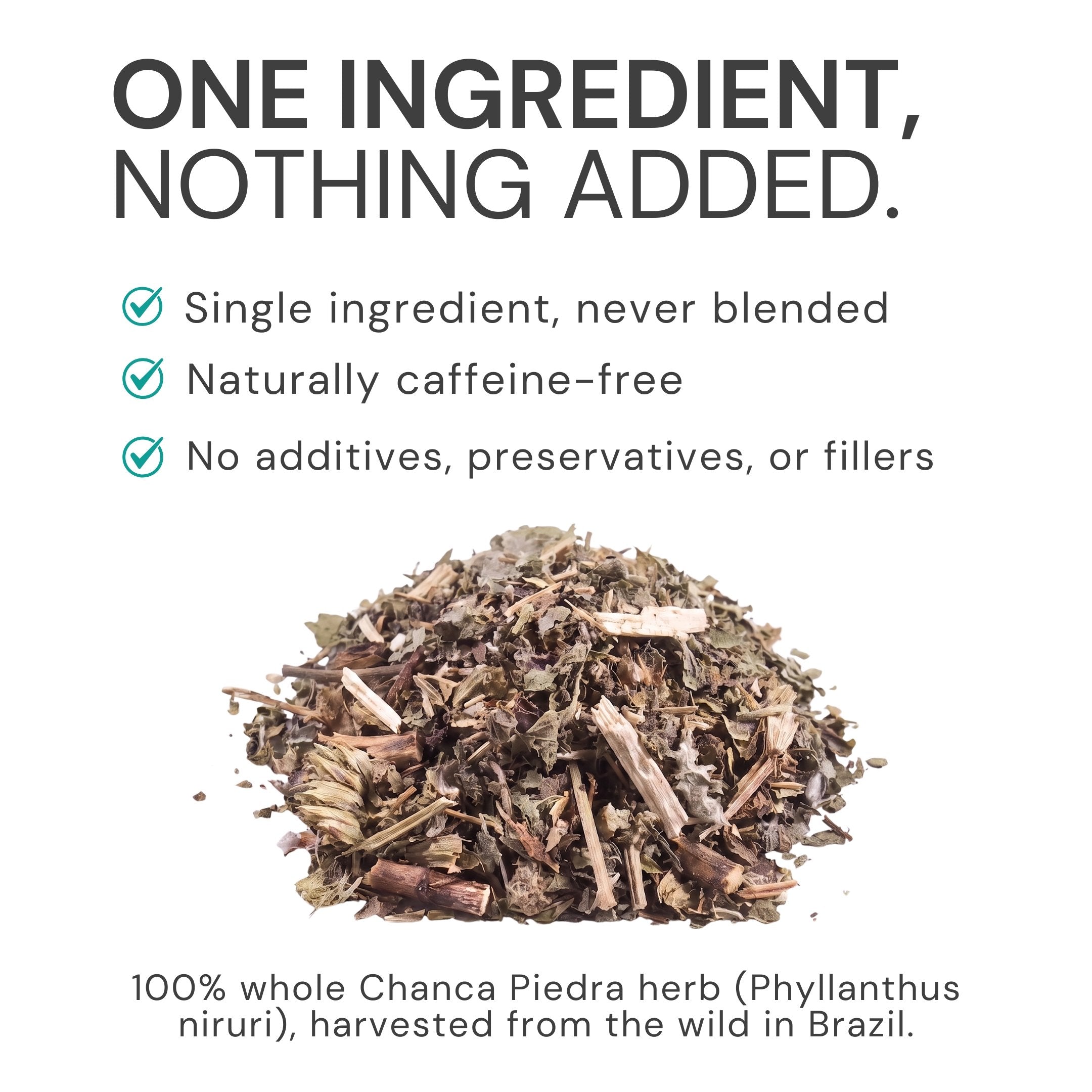 Loose Chanca Piedra herb, single ingredient with no additives or fillers